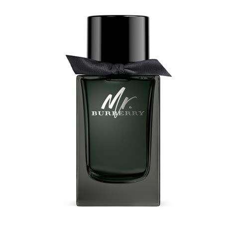 parfum pour homme burberry|burberry parfums pour homme.